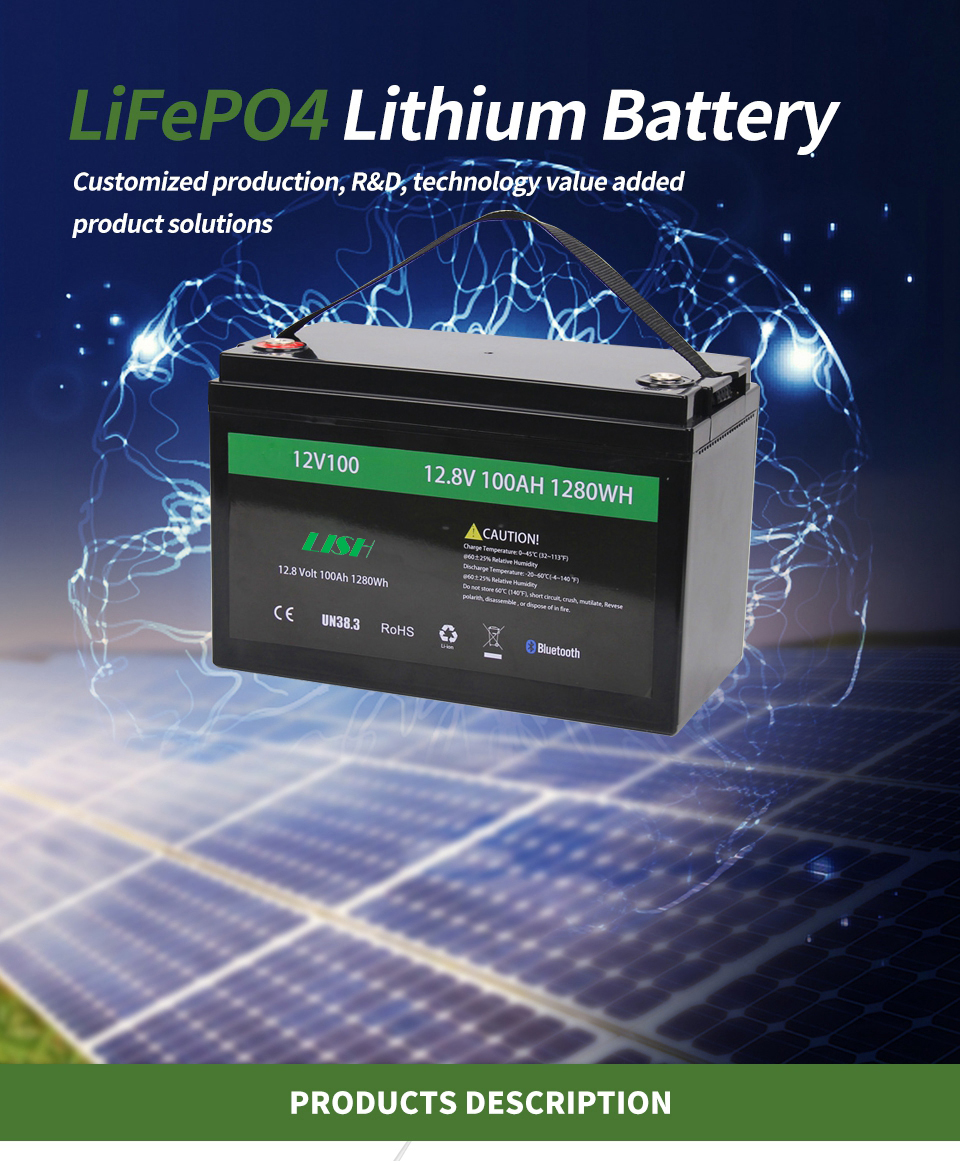 Batteria al litio OEM Lifepo4 ricaricabile
