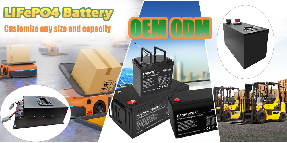 Siamo in grado di fornire servizi diversificati di personalizzazione delle batterie al litio!
